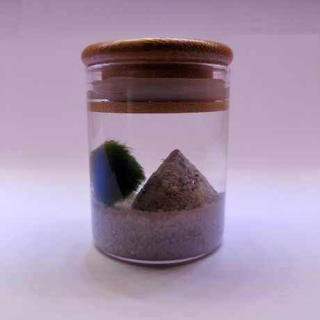Finike Marimo Moss Ball